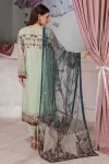 3PC CHIFFON SUIT-F-2507 | RAMSHA