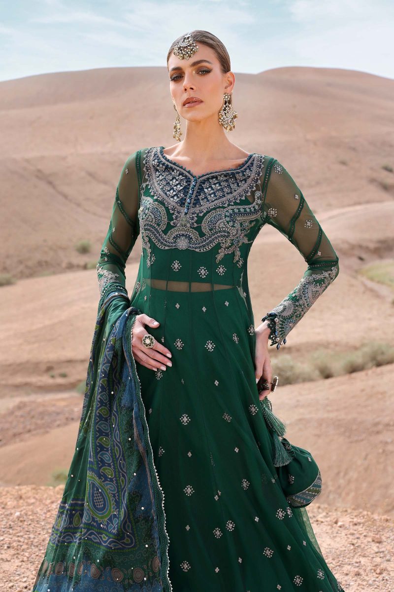 Embroidered Net Suit | D-2507-A | MARIA B