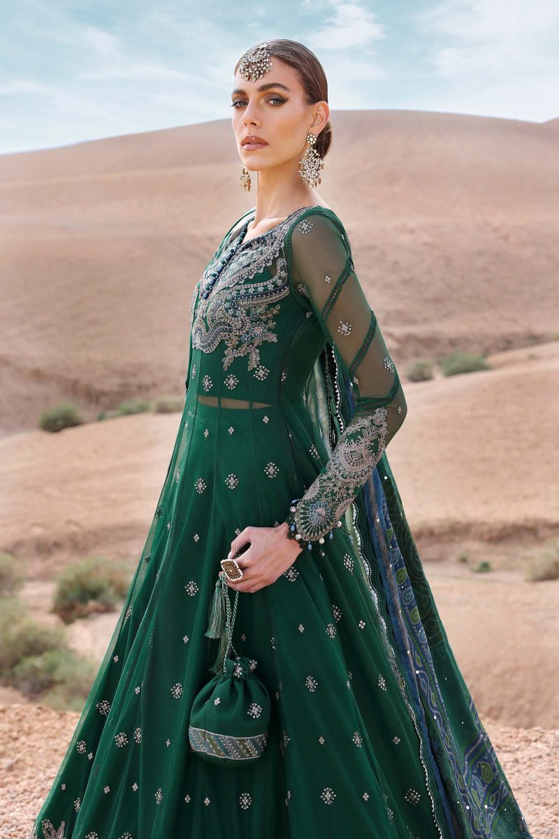 Embroidered Net Suit | D-2507-A | MARIA B