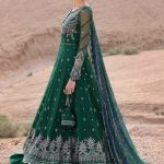 Embroidered Net Suit | D-2507-A | MARIA B