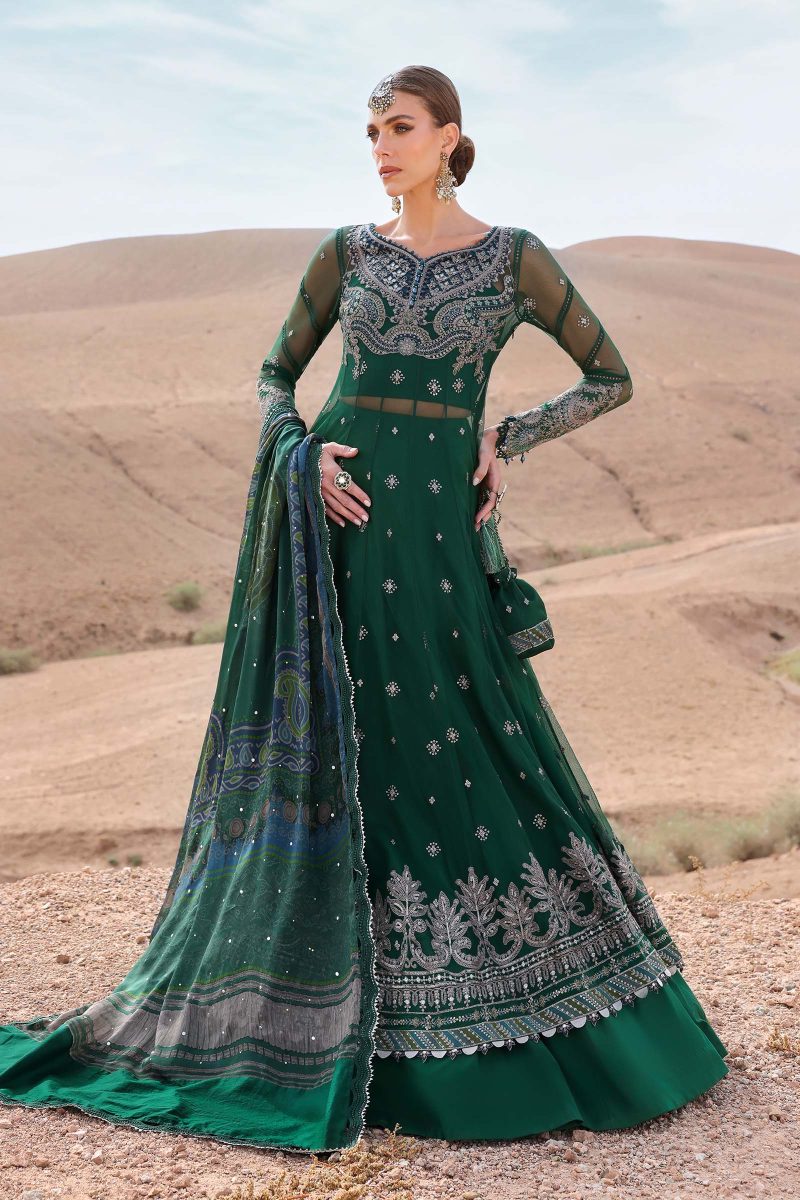 Embroidered Net Suit | D-2507-A | MARIA B