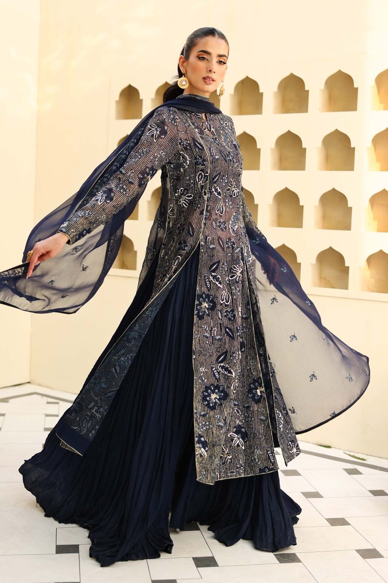 Embroidered Chiffon | LF-819 | MARIA B