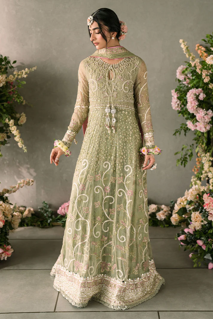 Namar MUNCH240110 | MUSHQ