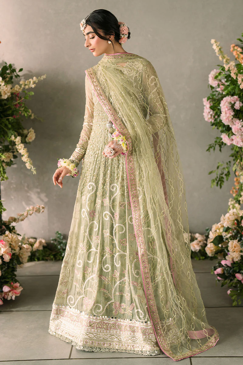 Namar MUNCH240110 | MUSHQ