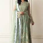 Pistachio UNWD240101U | MUSHQ