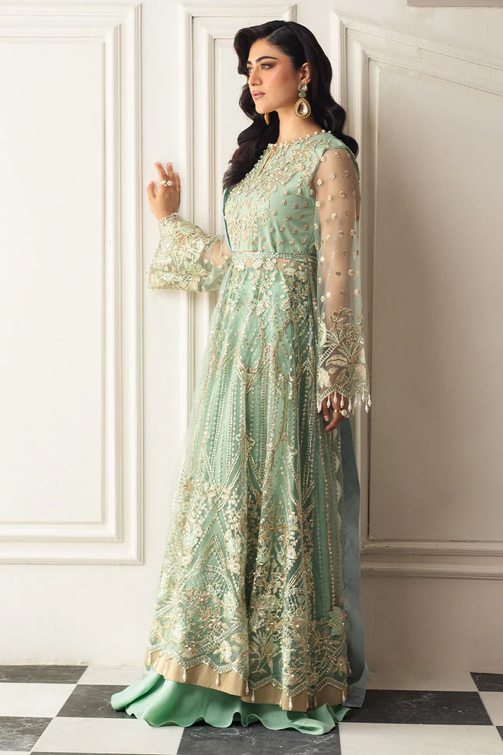 Pistachio UNWD240101U | MUSHQ