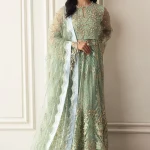 Pistachio UNWD240101U | MUSHQ