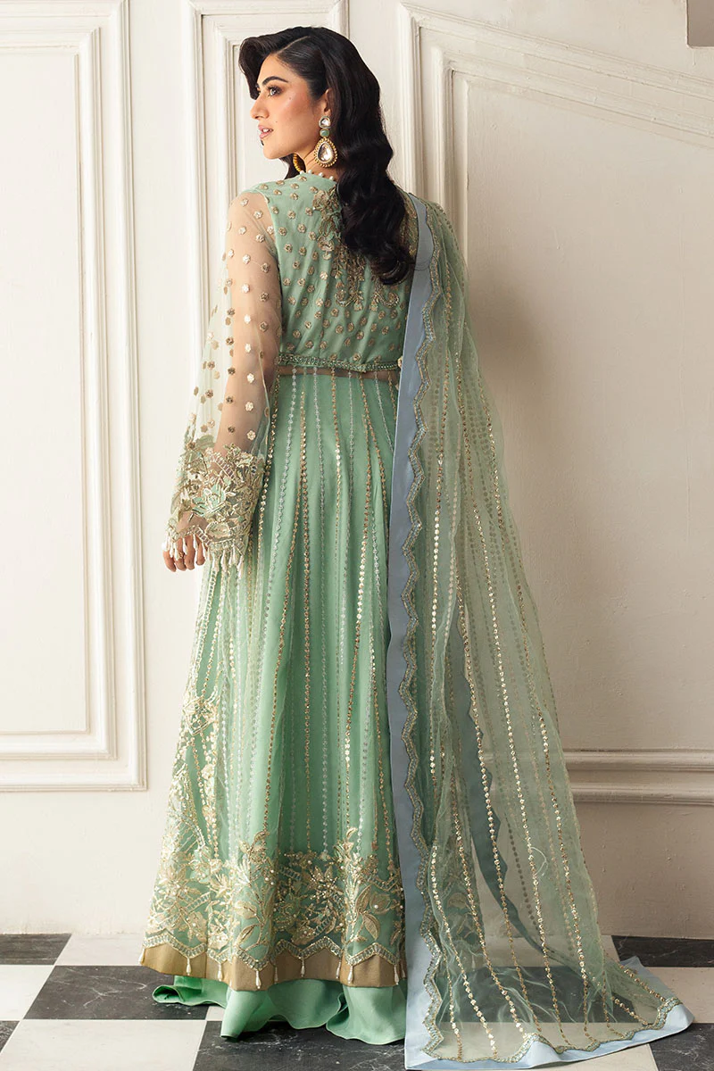 Pistachio UNWD240101U | MUSHQ