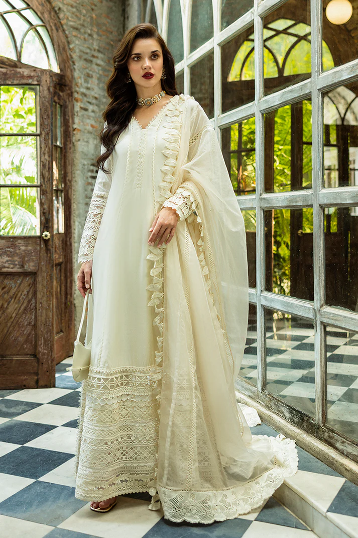 Quinn MPLTE250108 | MUSHQ