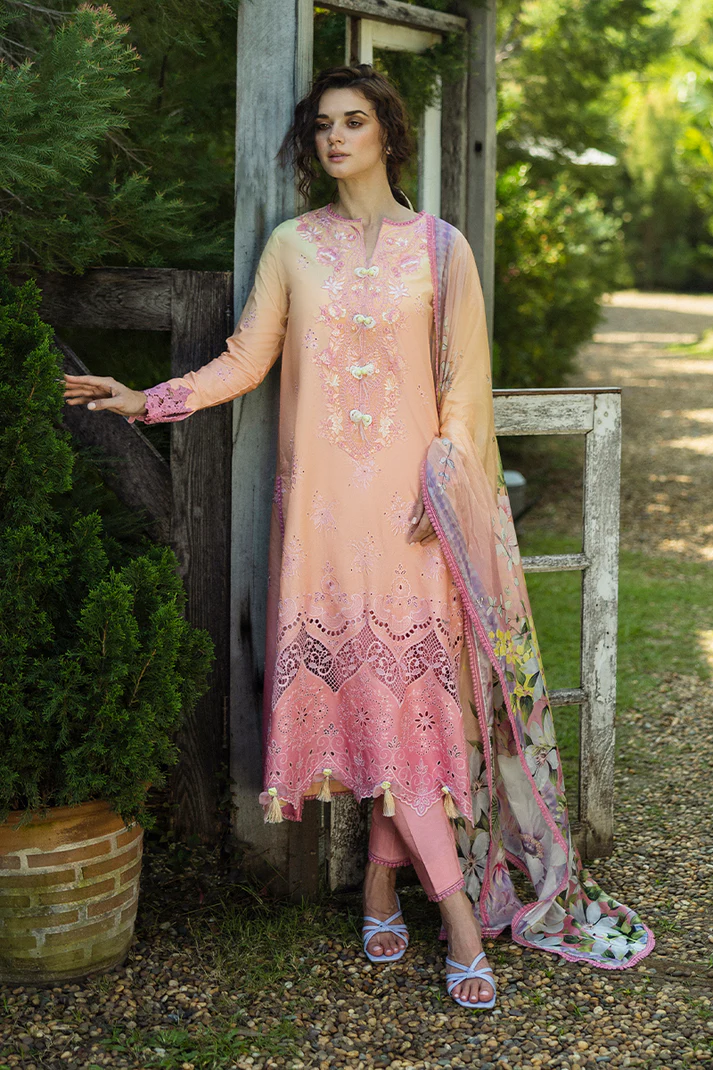 Risate MUNSS250104 | MUSHQ