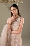 Pastle Pink Organza 3d thread Work | P-298 | Khudabaksh