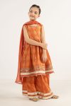 Embroidered Lawn | EF26-07-Orange-2-4 | Maria B