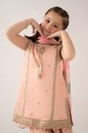 Embroidered Cotton Satin | EF25-35R1-Pink-2-4 | Maria B