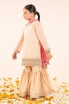 Embroidered Masoori Yarn Dyed | EF26-04-Peach-4-6 | Maria B