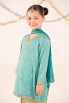 Embroidered Raw Silk | EF26-49-Sea Green-2-4 | Maria B