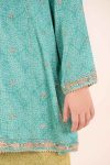Embroidered Raw Silk | EF26-49-Sea Green-2-4 | Maria B