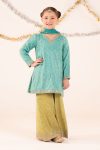 Embroidered Raw Silk | EF26-49-Sea Green-2-4 | Maria B