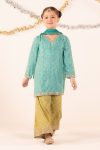Embroidered Raw Silk | EF26-49-Sea Green-2-4 | Maria B